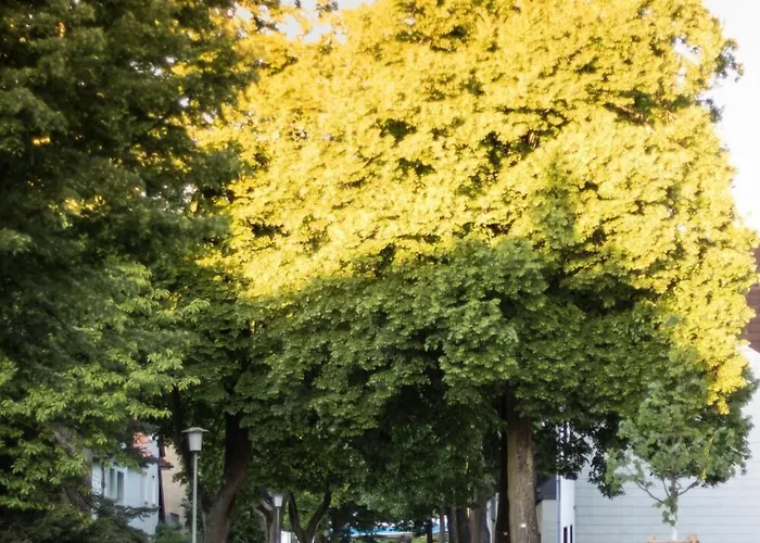 Alscher Bed and Breakfast Λεβερκούζεν